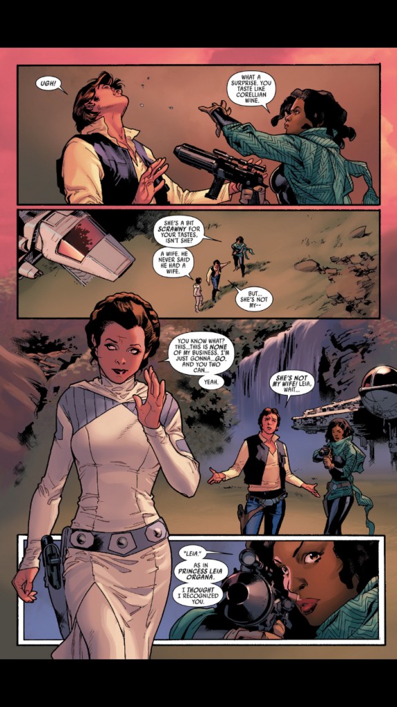 Madame Han Solo ! WTF ou pas WTF ???