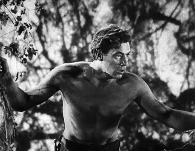 Ungawak !  © RKO.  Source : Wikipedia https://commons.wikimedia.org/wiki/File:Tarzan_the_Ape_Man_(1932)_Trailer_-_Johnny_Weissmuller.jpg#mw-jump-to-license